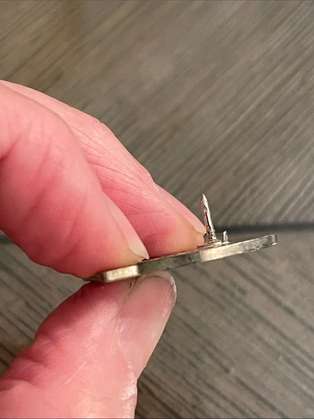 Vintage brand pin